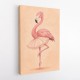 Flamingo Ballet Dancer