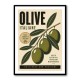 Italian Olives Vintage Poster Wall Art