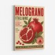 Pomegranate Italian Vintage Food Poster Wall Art