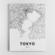Tokyo City Map