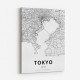 Tokyo City Map