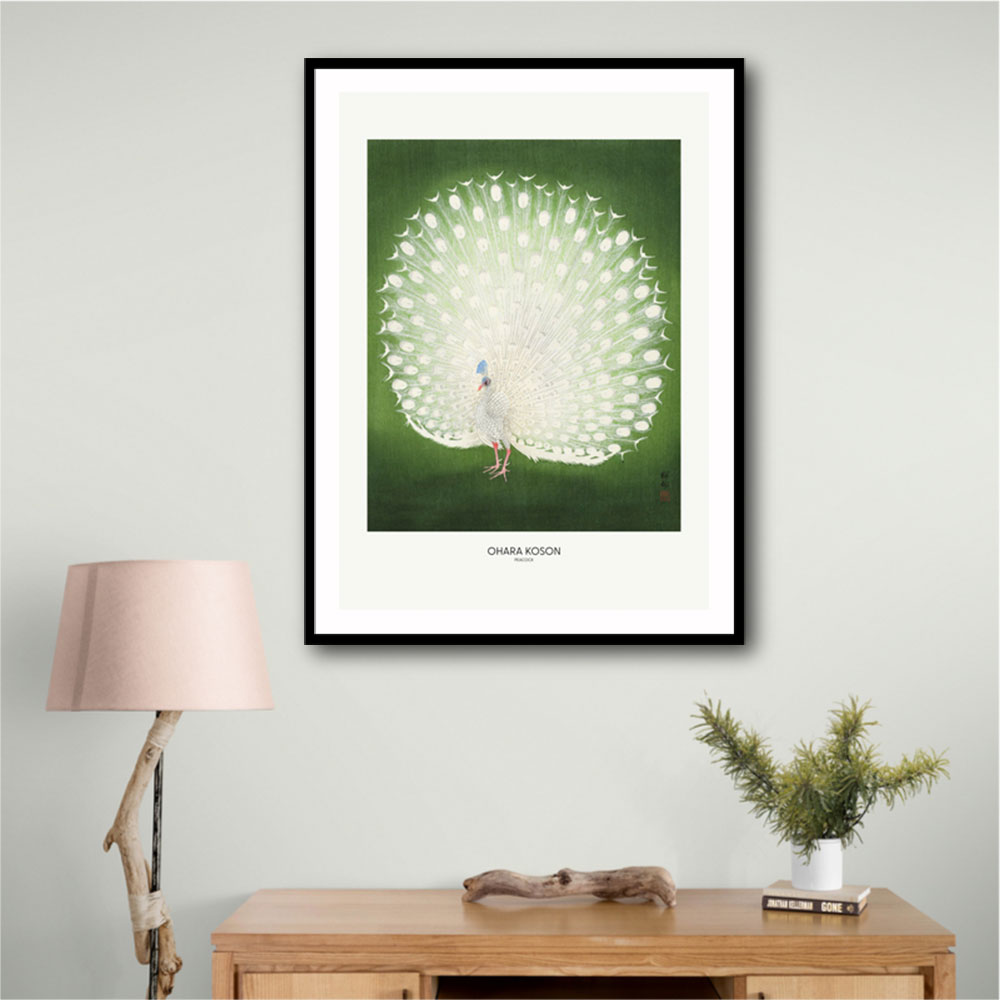 Peacock - Wide