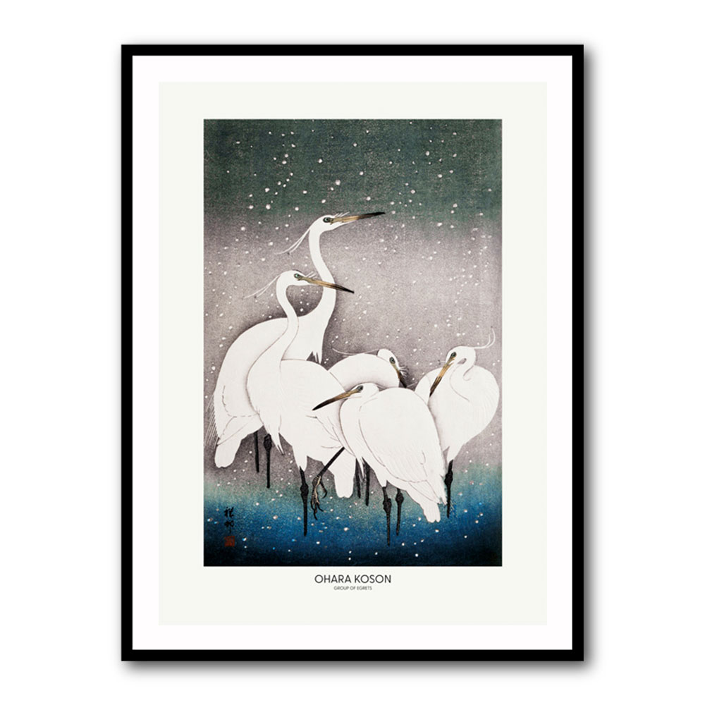 Group Of Egrets