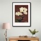 HAbrdaceous Peony