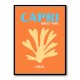 Capri Dolce Vita Travel Poster